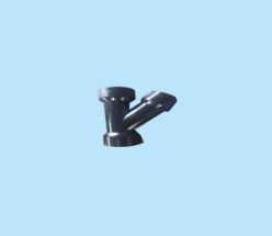 Y
